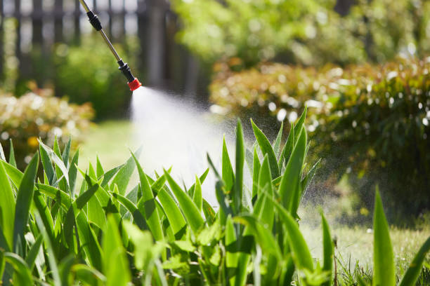 24/7 Emergency Mosquito Control experts in Broadmoor, CA