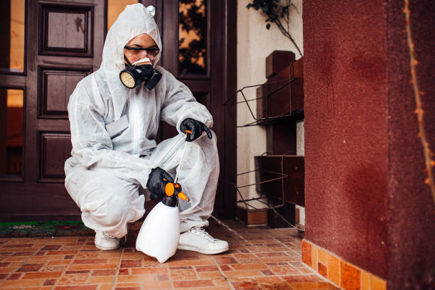 Reliable Mosquito Control contractor in Broadmoor, CA by Show Me Pest Control